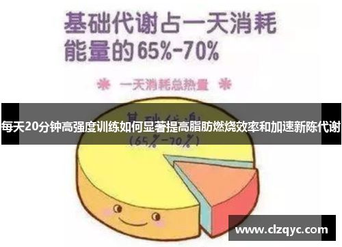 每天20分钟高强度训练如何显著提高脂肪燃烧效率和加速新陈代谢