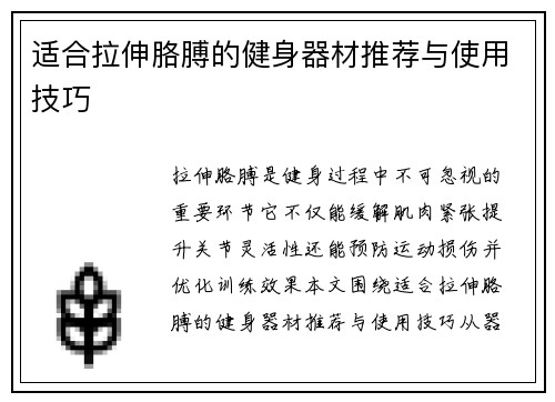 适合拉伸胳膊的健身器材推荐与使用技巧